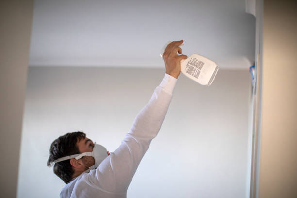 Best Residential Mold Removal  in Yaphank, NY